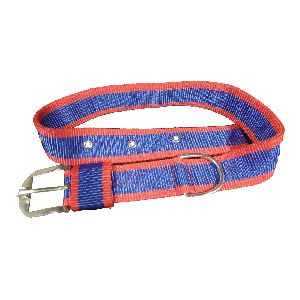 1.5 Inch Nylon Dog Collar