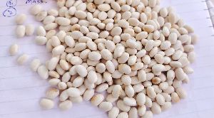 White Kidney Beans