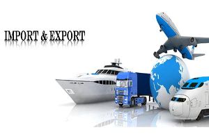 Export Import Training Service