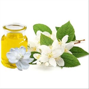 jasmine oil