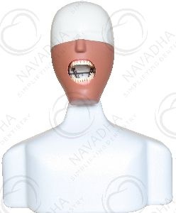 iTorso dental phantom head torso manikin