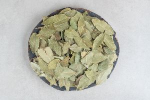 bay leaf