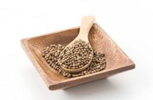 Raw Coriander Seeds, For Cooking, Spices, Color : Green