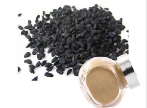 Black Cumin Seed Extract Powder
