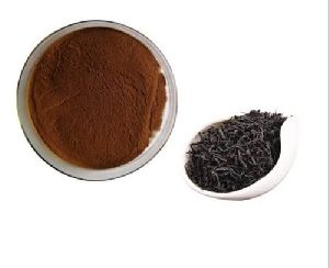 Black Tea Extract Powder
