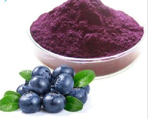 Blueberry Extract Powder