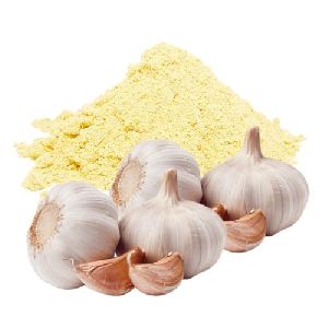 Garlic Extract Powder