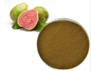 Guava Fruit Extract