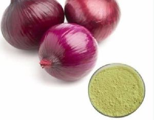 Onion Extract Powder