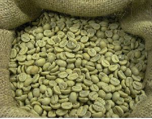 Best quality ETHIOPIAN Coffee Beans For Sale