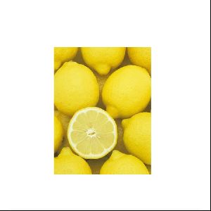 Fresh Eureka Lemons for sale - Yellow Eureka Lemons in stock - Best Quality and Price