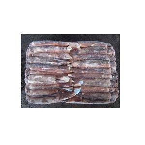 Frozen Illex Squid - lllex Argentinian - whole frozen illex squid