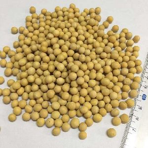 High Quality Non GMO Yellow Soybeans - Soybeans /Soya Bean (8.0mm) with High Quality