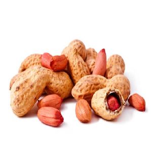 High Quality Peanuts, Ground Nut Wholesale
