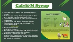 Medicines Tonics and Drugs