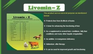 Livomin-Z Syrup