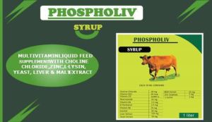 Phospholiv Syrup