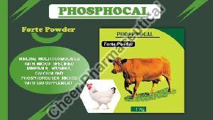 Phosphocal Forte Powder