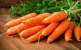 High quality fresh carrots