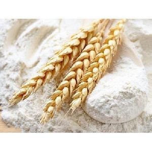 organic wheat flour