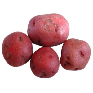 Fresh Lady Rosetta Potato
