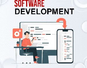 software developmet service