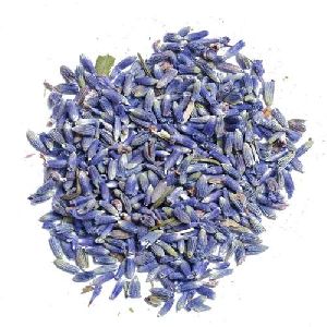Lavender Dry Extract
