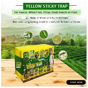 yellow sticky trap pack of 10