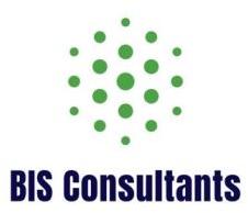 BIS Consultancy Service