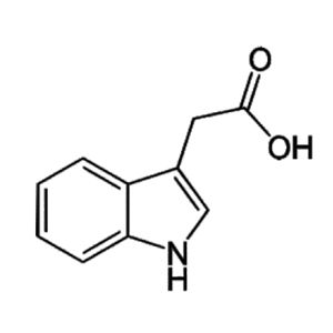 Indole-3-Acetic Acid (IAA)