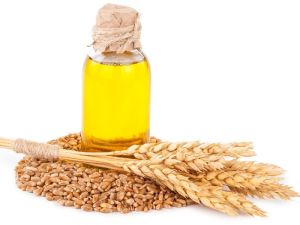 Wheat Oil