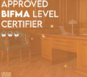 BIFMA Level 2 Certification in India