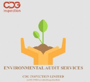 Environment Audit Service