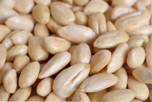 blanched almond