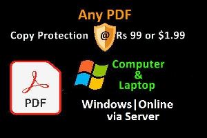 pdf file copy protection software window