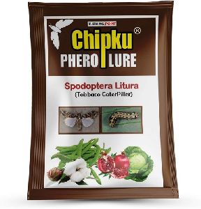 Chipku- pheromone Lure Tobacco Caterpillar (Spodoptera litura) spodo (10)