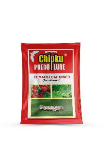 TUTA lure Pheromone Attractant Tomato Leafminor -Pack of 5