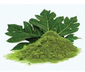 papaya leaf powder
