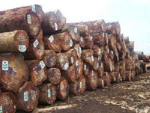 African Timber Logs