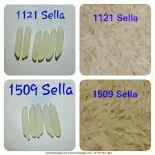 all type of basmati rice