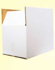 Plain Duplex Master Carton