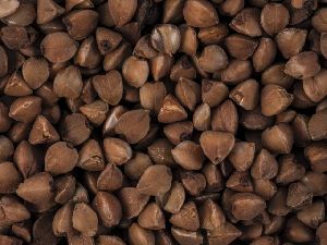 buckwheat hull,buckwheat kernel
