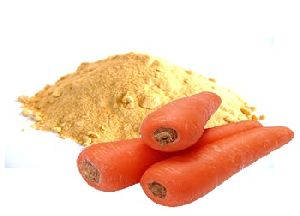Spray Dried Premium Carrot Powder