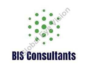 BIS Consultancy Service