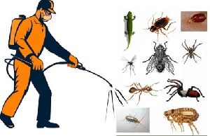 Insecticide License  Services