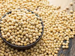 Soybeans in grains