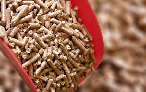 agro waste pellet