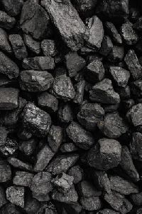 Hardwood Coal