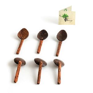 Set of 6 Coconut Shell Masala Spoon Set