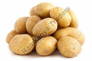Fresh Deesa Potato